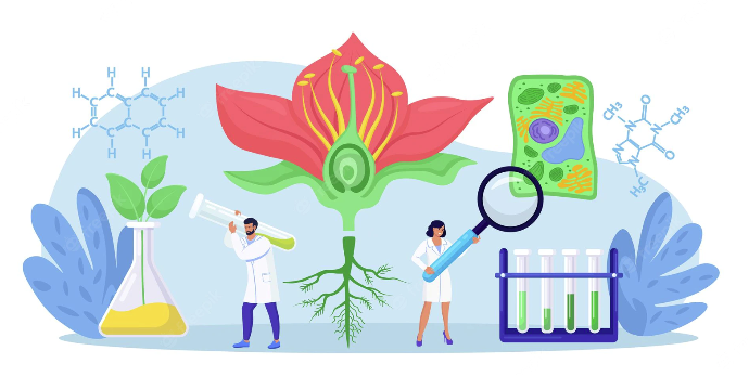 Applied Microbiology, Biomass, Protein Engineering, Microalgae, Analytical Biochemistry, Enzymes, Biotransformation, Macroalgae bioressources